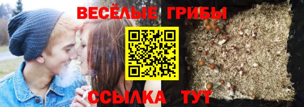 Псилоцибиновые грибы прущие грибы Волжск