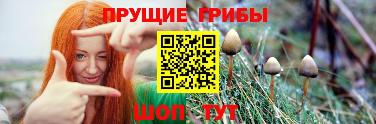 Псилоцибиновые грибы Magic Shrooms  Галлюциногенные грибы Magic Shrooms  Волжск  Вход с VPN 